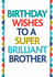 brilliant brother Birthday Card 13642 created by Rosie Robins