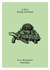 Wonderful Grandpa - tortoise birthday card created by Zoe-Claire