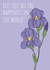 iris i wish Congratulations Card 19593 created by Anna Norburn