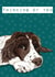 Thinking of you springer spaniel dog card created by Bramble Designs