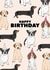funny dogs Birthday Card 16721 created by Pearl Ivy