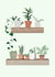 Pretty Trendy New Home Card - House Plants - New Home created by Amber Jane
