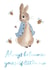 Peter rabbit new baby Birthday Card 14945 created by Paper Wishes Co