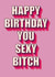 sexy bitch Birthday Card 20164 created by Bold Cards