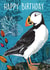 puffin bird Birthday Card 2343 created by Rocket68