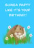 Guinea pig birthday card. Perfect for a pet lover created by Rae of Sunshine
