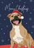 Boxer dog Christmas card created by Evie Garnett Designs
