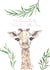 Giraffe cute New Baby Card 20296 created by Philippa McCrea
