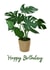 Plant House plant Card 45265 created by Williams Print Store