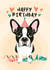 Birthday card featuring a cute Boston Terrier created by Diva Doodle Designs