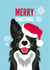 Border Collie - Collie - Cute - Santa Hat - From The Dog - Dog - Furry Friends - Snowflakes - Christmas Card created by Diva Doodle Designs
