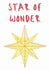 Star of Wonder Nautical Compass Christmas Card created by NaviStitch