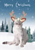 Cat Grumpy cat Christmas Card 18097 created by Sarah Stephenson