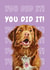 well done congrats Congratulations Card 20649 created by Studio Woof