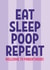 Funny eat sleep poop repeat new baby congratulations card created by Blush & Blossom 