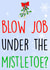 Blow Job Mistletoe Christmas Card 41489 created by Prickly Cards