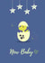 dinosaur star New Baby Card 19354 created by Tamarind & Lime