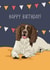spaniel springer spaniel Birthday Card 11804 created by Evie Garnett Designs
