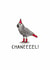Chanel African Grey Birthday Card created by Odd Socks