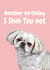 illustration pun Birthday Card 20654 created by Studio Woof