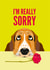 dog basset hound Sorry Card 16829 created by Diva Doodle Designs
