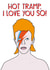 ziggy bowie Valentines Day Card 46629 created by HabFab