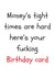 rhyme rude Birthday Card 25699 created by Stray Funk Design