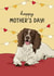 Springer Spaniel Mothers Day Card created by Evie Garnett Designs
