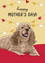 Cocker Spaniel dog Mother's Day card created by Evie Garnett Designs