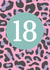 Leopard Print 18th Birthday Card created by Sarah Catherine
