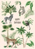 Arty Birthday Card - Wild Animals - Plants & Trees created by Poppy & Mabel