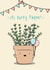 thyme plant Birthday Card 17822 created by The Tipsy Turtle