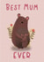 Cute Mothers Day Card - Mum - Bears - Best Mum Ever created by Hayley Warhurst Design