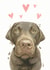 Chocolate Labrador Labrador  Just because Card 21227 created by Robert James Hull