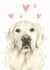 golden retriever love Just because Card 21228 created by Robert James Hull