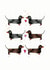 sausage dog dachshund Valentines Day Card 17219 created by Alice Johnson Artwork