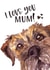 Cute Mothers Day Card - Mum - Border Terrier - I Love You Mum! created by Jo Scott Art