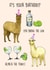 alpaca llama Birthday Card 20799 created by Poppy & Mabel