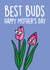 tulips best buds Mothers Day Card 31084 created by Thirty Mussels