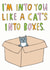 A romantic card for a cat lover created by Able And Game