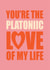 platonic love Valentines Day Card 21489 created by Penny and Me