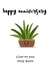 succulent aloe-ve Anniversary Card 15681 created by Prickly Pear Design