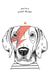 Cute Mothers Day Card - Dog - David Bowie - You're A Star Mum created by Dotty Dog Art
