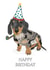 dachshund sausage dog Birthday Card 21841 created by Lucy Deaner
