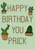 Happy Birthday Cactus Card 48294 created by Insight Designs