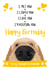 Cute Happy Birthday Card from the Dog 1001 created by The Merry Giraffe