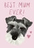 Schnauzer Dog Card 21098 created by Soph AC Studio