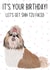 Happy Birthday! Let's get Shih Tzu faced created by Swisa Creates