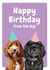 Cockapoo birthday card created by Studio Woof