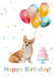 Rainbow Corgi Birthday Card created by Sarah Stephenson